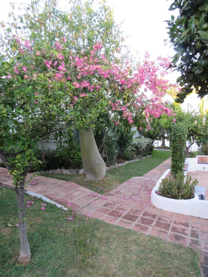 Apartamento Bien Situado En Marbella Dış mekan fotoğraf